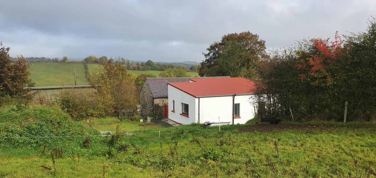The Haggard Self Catering Accommodation Castleblayney Exteriér fotografie